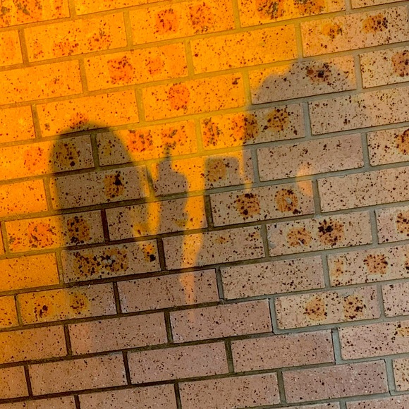 Meet your Posher, Kanayah - Picture 1 of 1